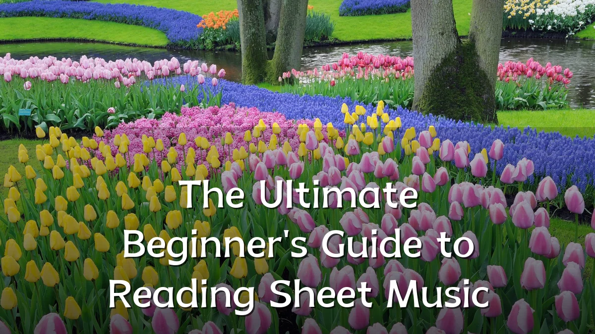The Ultimate Beginner's Guide to Reading Sheet Music