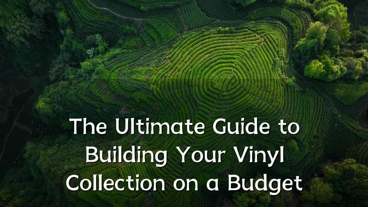 The Ultimate Guide to Building Your Vinyl Collection on a Budget