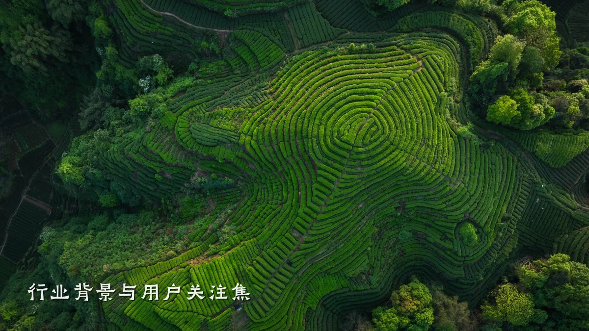 行业背景与用户关注焦