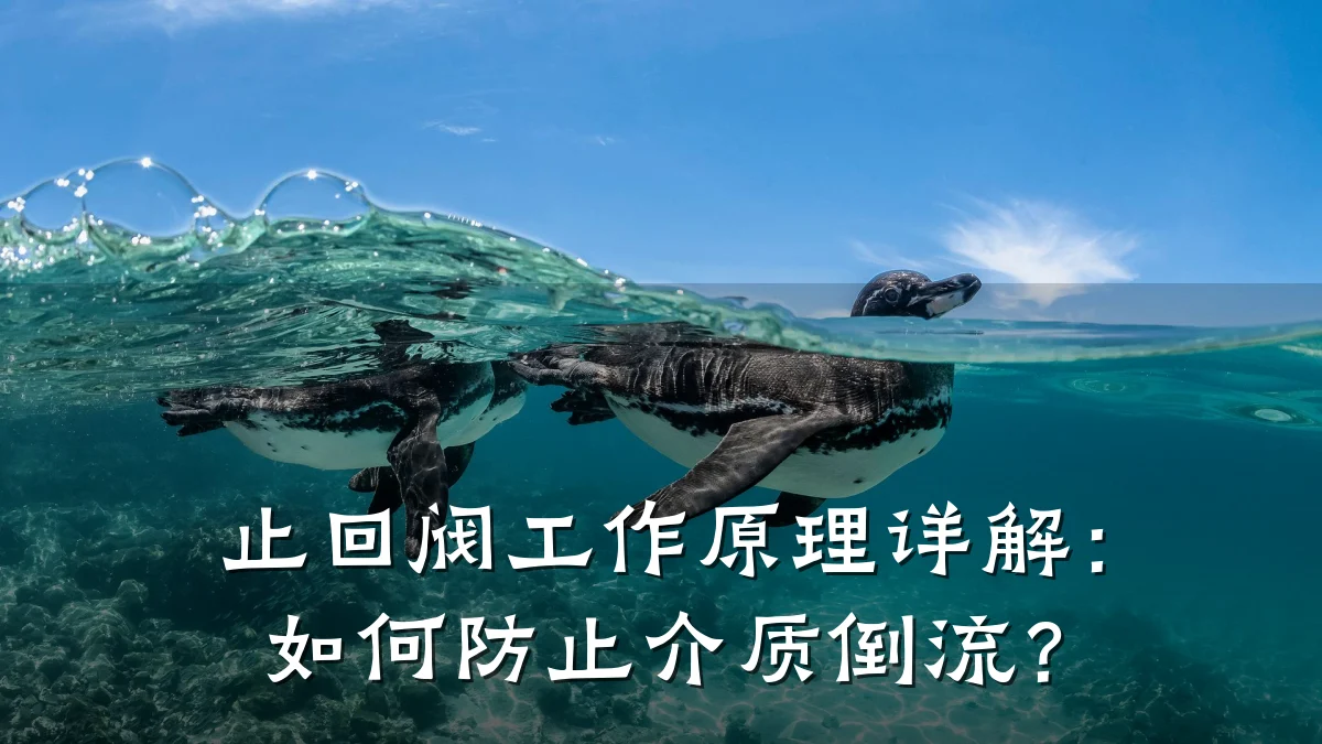 止回阀工作原理详解：如何防止介质倒流？