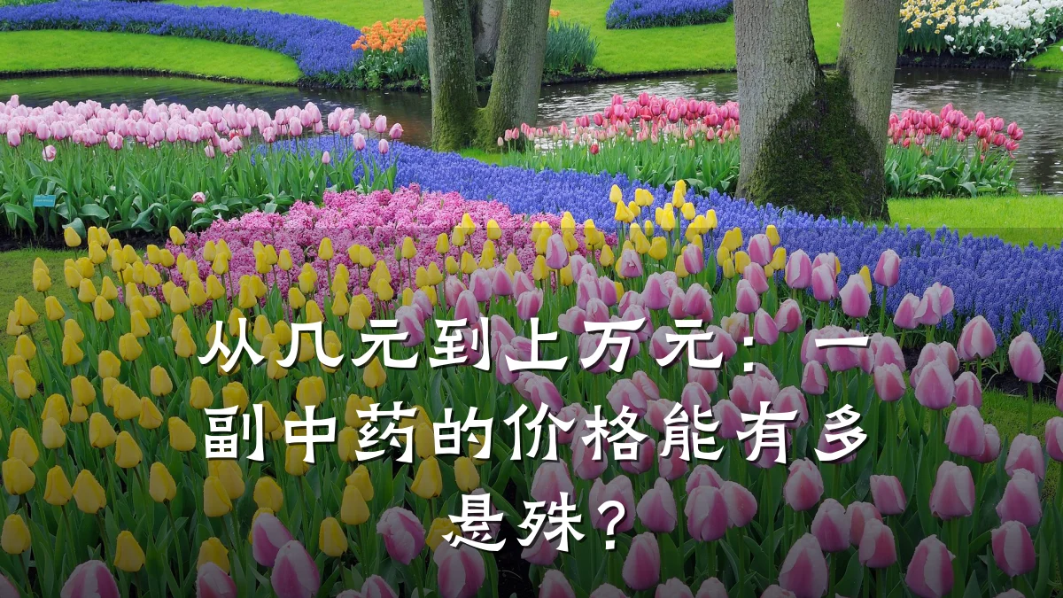从几元到上万元:一副中药的价格能有多悬殊?