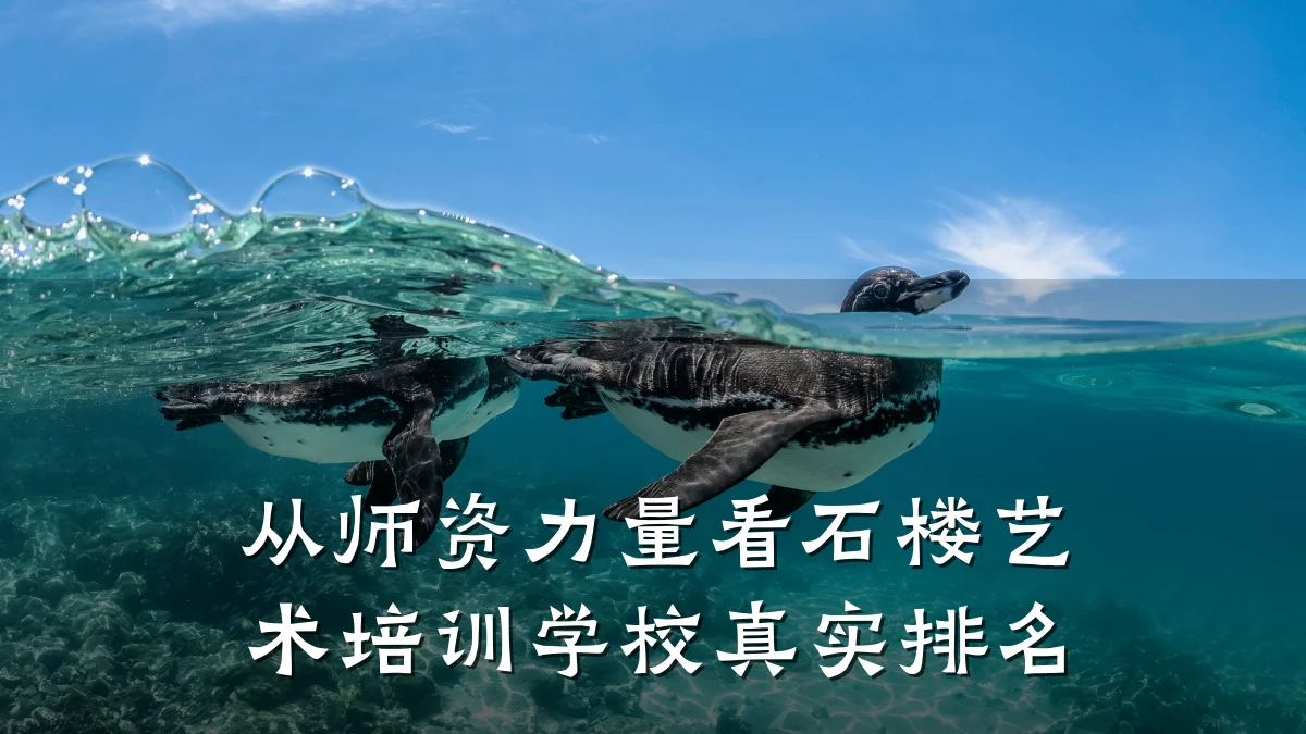 从师资力量看石楼艺术培训学校真实排名