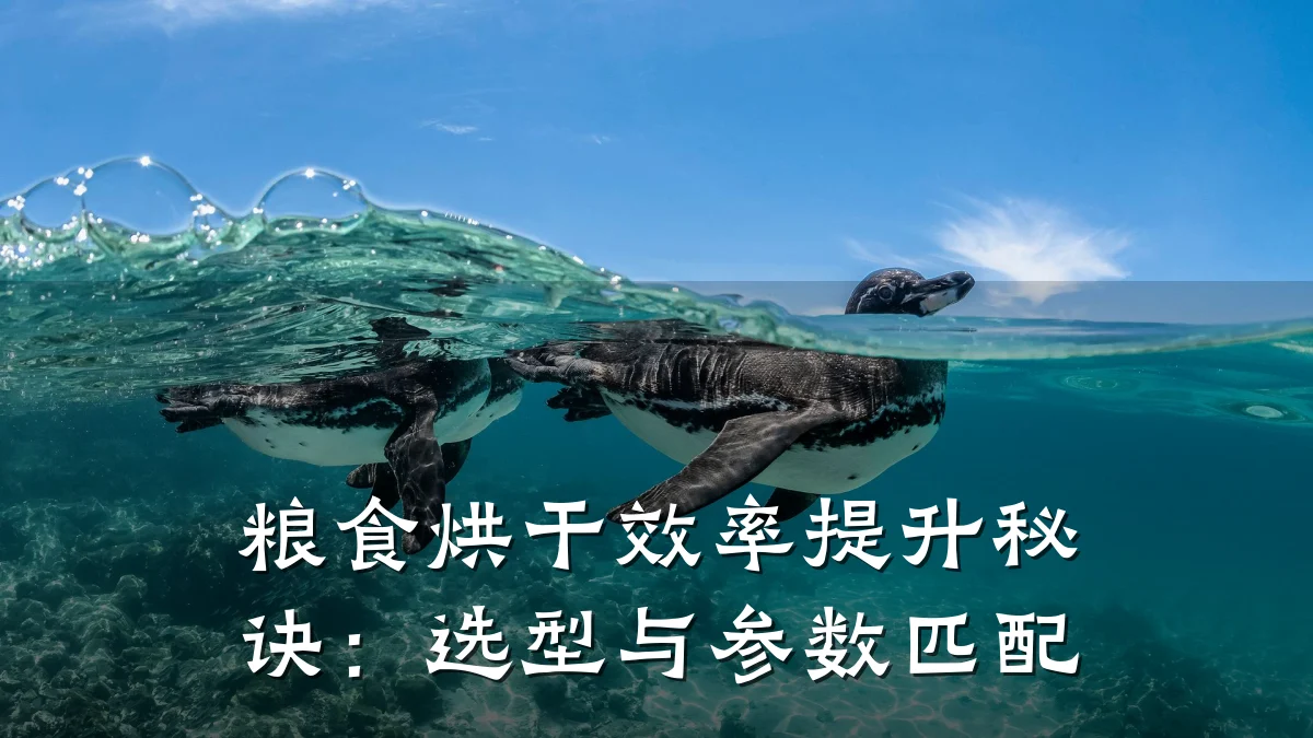 粮食烘干效率提升秘诀：选型与参数匹配