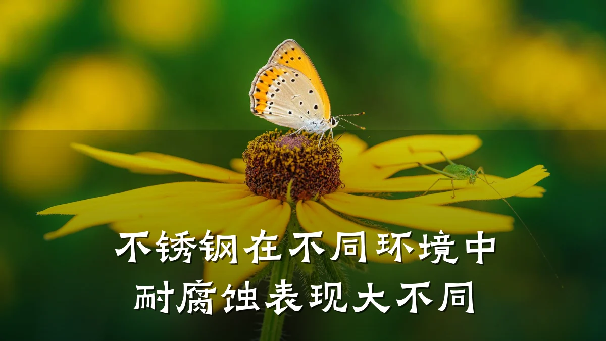 不锈钢在不同环境中耐腐蚀表现大不同
