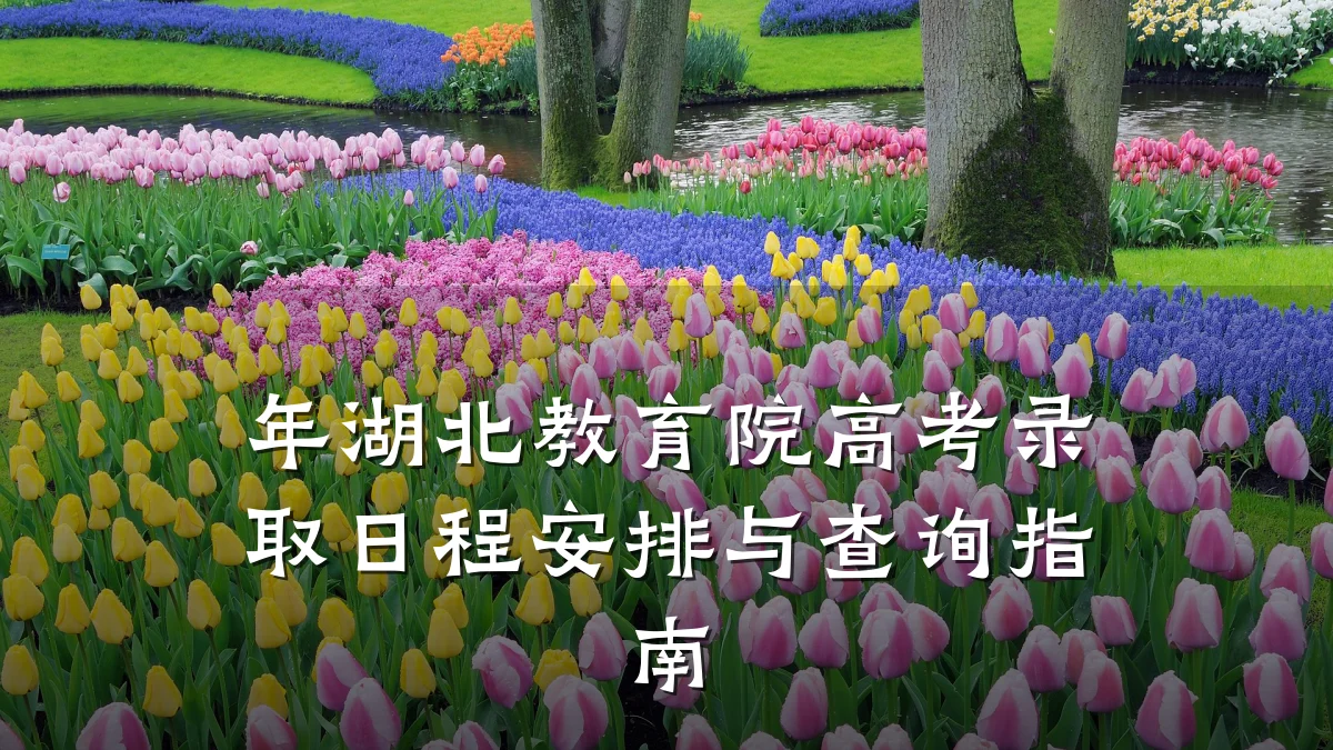 年湖北教育院高考录取日程安排与查询指南