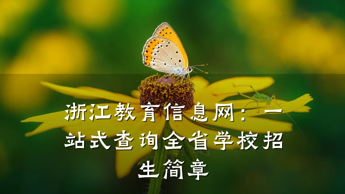 浙江教育信息网：一站式查询全省学校招生简章